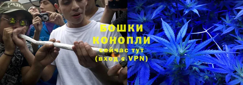 хочу   Красноармейск  блэк спрут как зайти  Бошки Шишки SATIVA & INDICA 